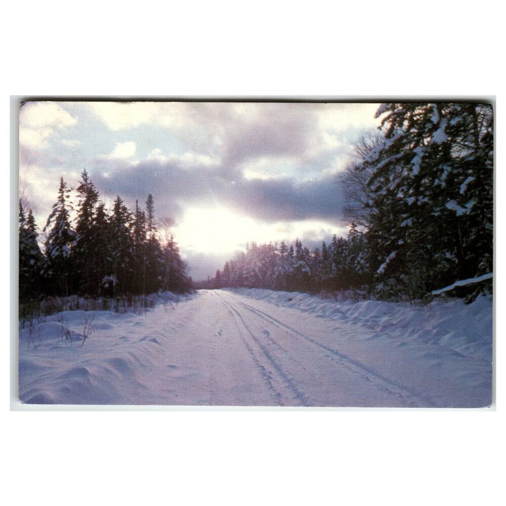 Winter Wilderness Road Maine Postcard Dave Walker Photo Trail Blazer Cards 84179